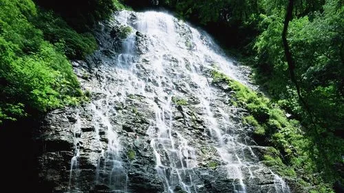 高端环保数字化
